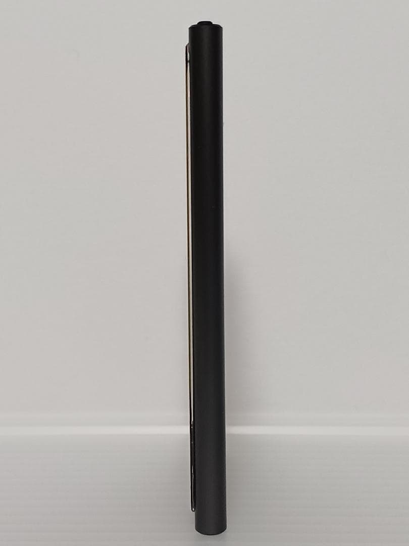 iPod nano 第7世代 本体のみ Apple