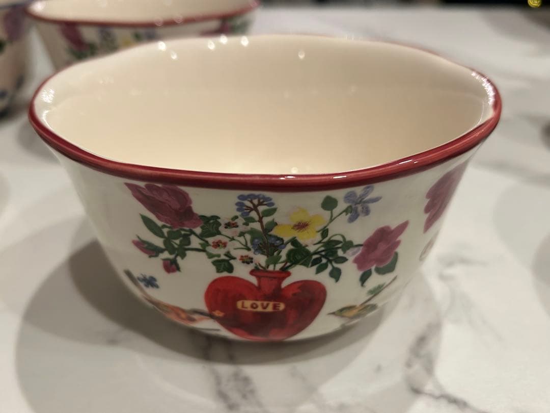 アンソロポロジー ナタリーレテ ボウル5点セット Anthropologie