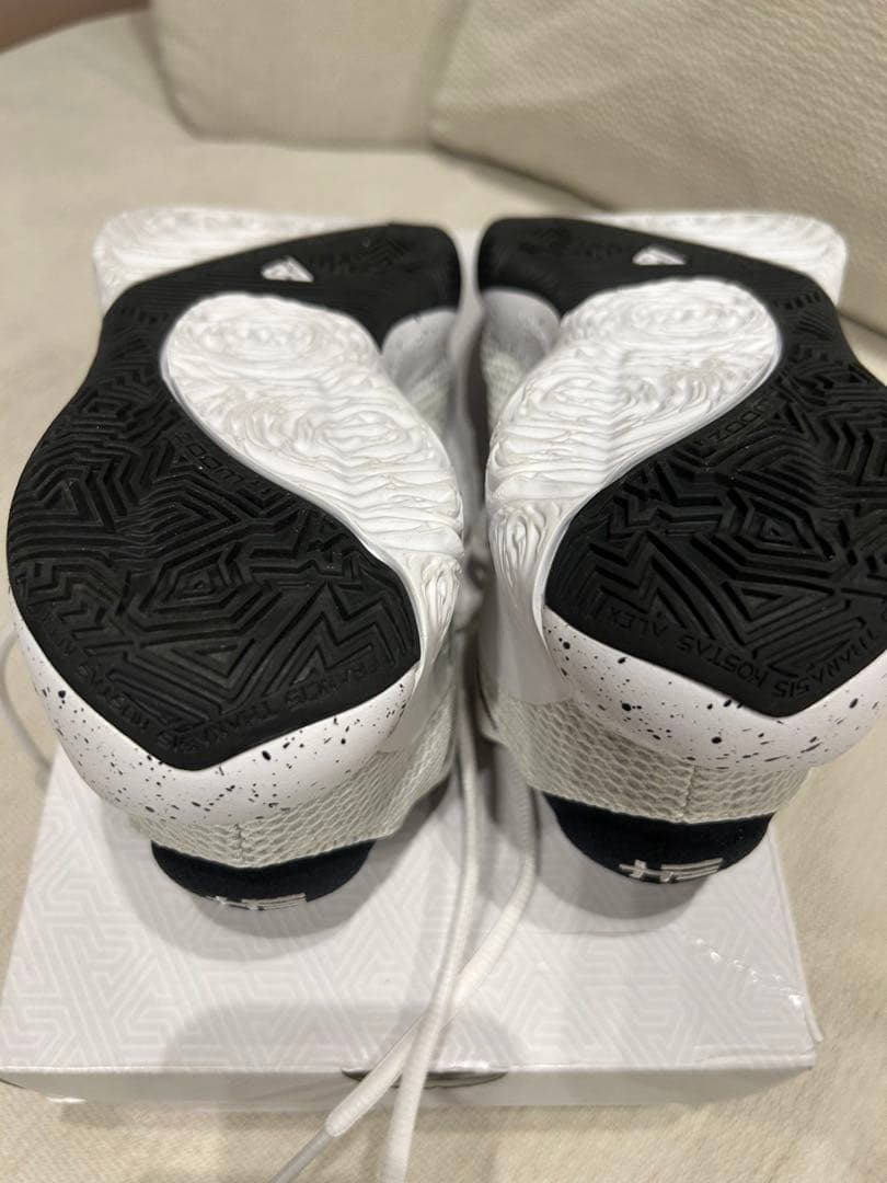 【値下中】【希少/試着のみ/美品】NIKE ZOOM FREAK 1 26㎝