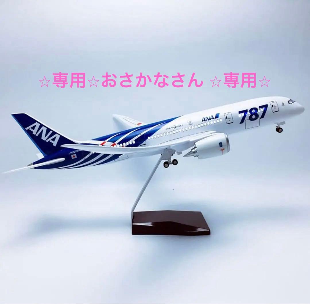【専用】ANA B787 ボーイング1:130スケール ジェット機 ディスプレイ