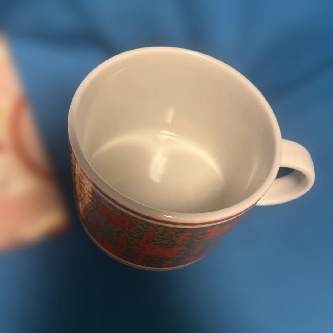 STARBUCKS イノセイユウカバ マグカップ