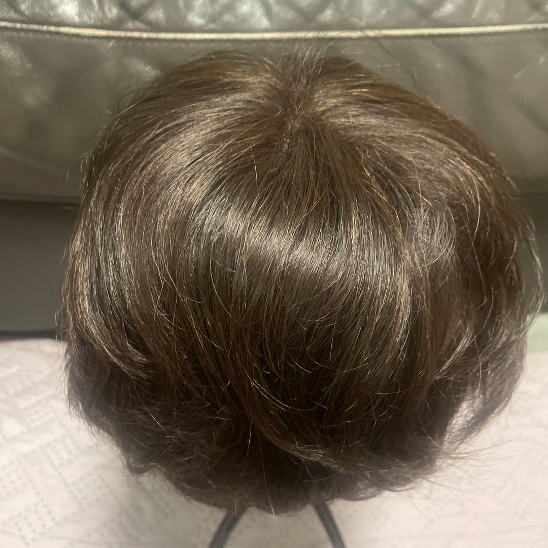 NAO-ART ダークブラウン ショートウィッグ　ART005#6