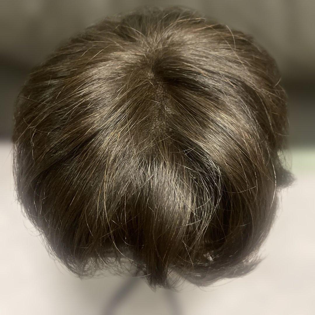 NAO-ART ダークブラウン ショートウィッグ　ART005#6
