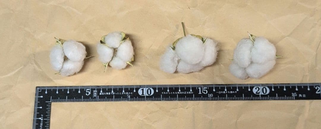 mi　訳あり　しめ縄　和綿　セット