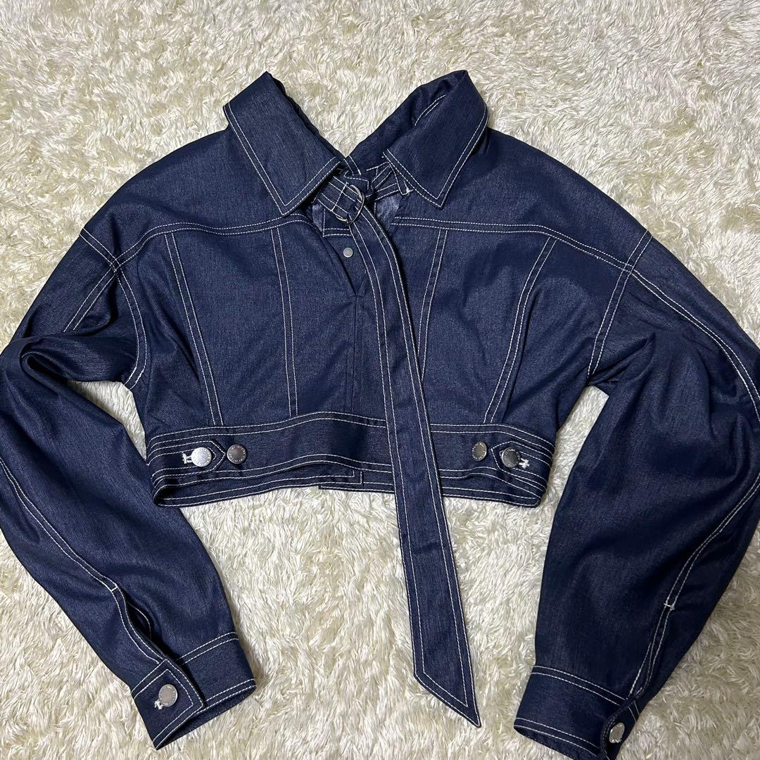 eimy istoire デニムライクバックシャンジャケット （INDIGO）