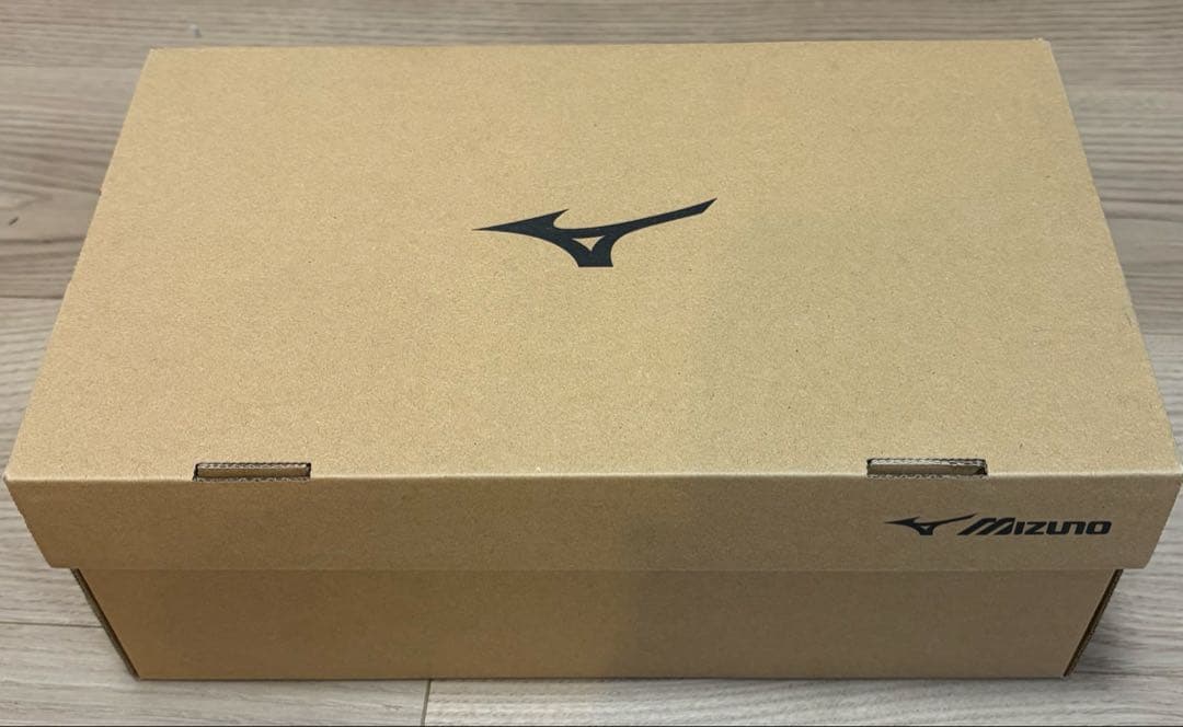 次男チャンさま専用 ミズノ LDアラウンド4 SW GTX 22cm ②