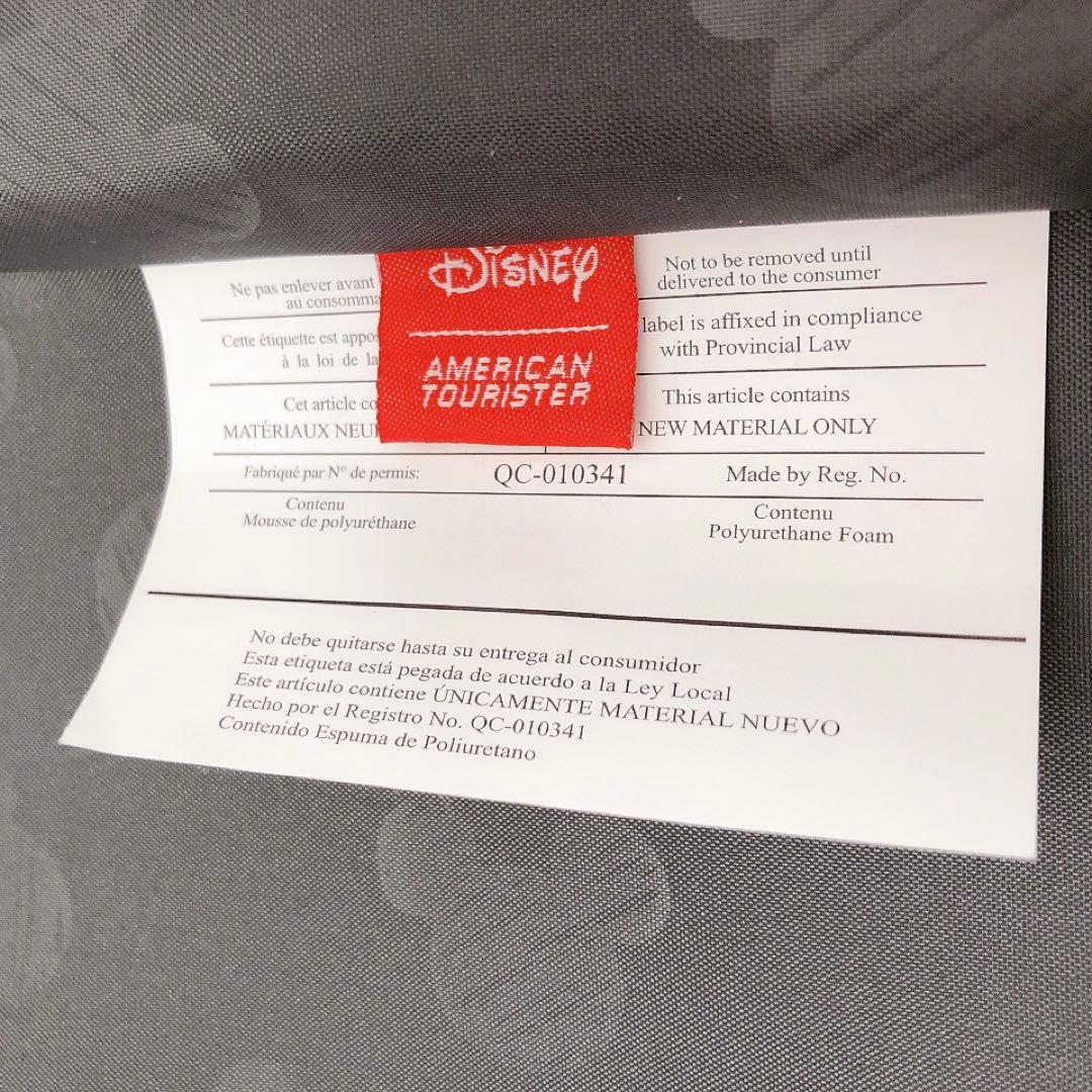 Disney ディズニー　アメリカンツーリスター キャリーケース スーツケース