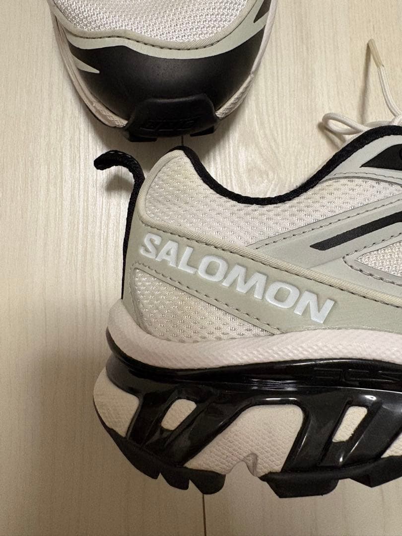 サロモン SALOMON XT6 EXPANSE