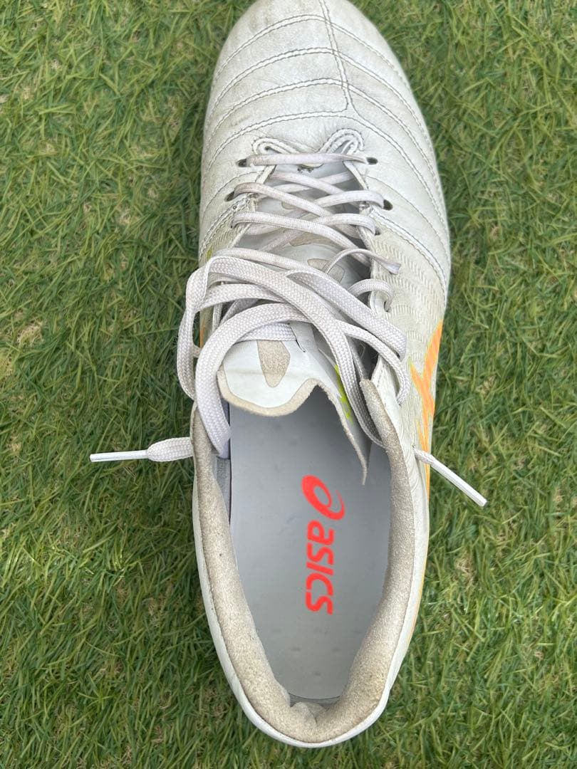 DS LIGHT X-FLY PRO 2 2足セット