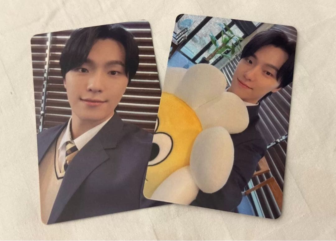 seventeen  韓国　仁川　会場限定　特典　ディノ　2枚セット