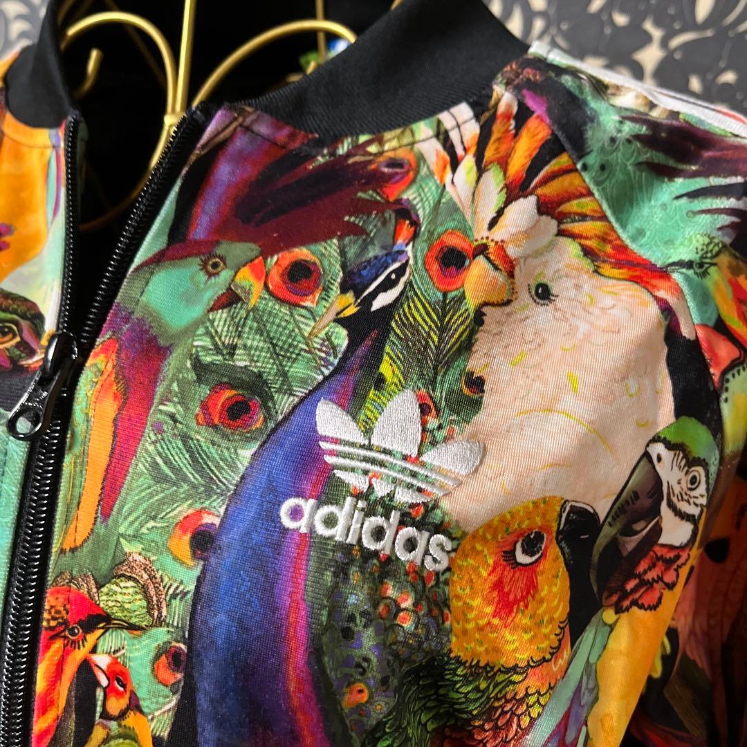 adidas カラフル鳥プリント ジャージセット