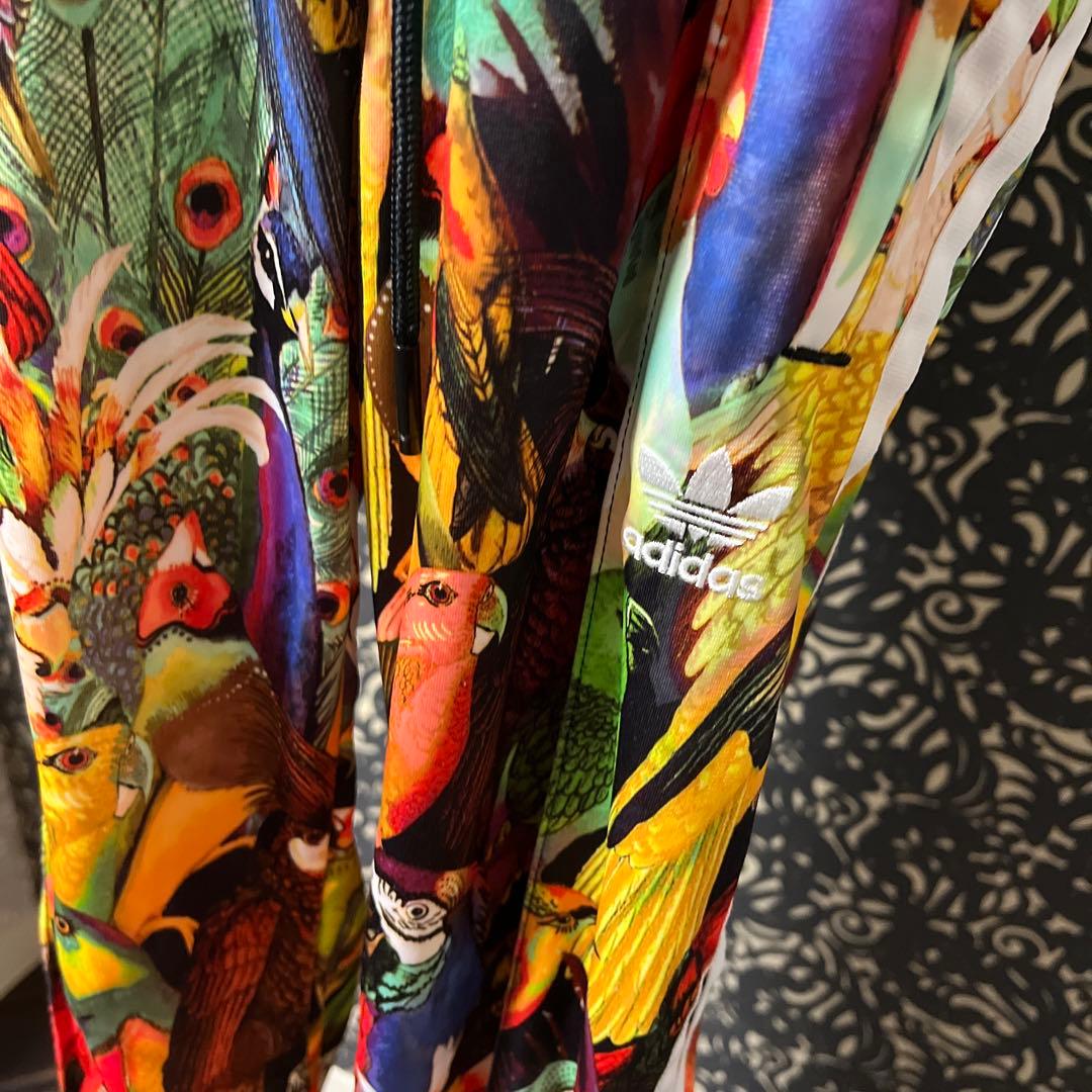 adidas カラフル鳥プリント ジャージセット