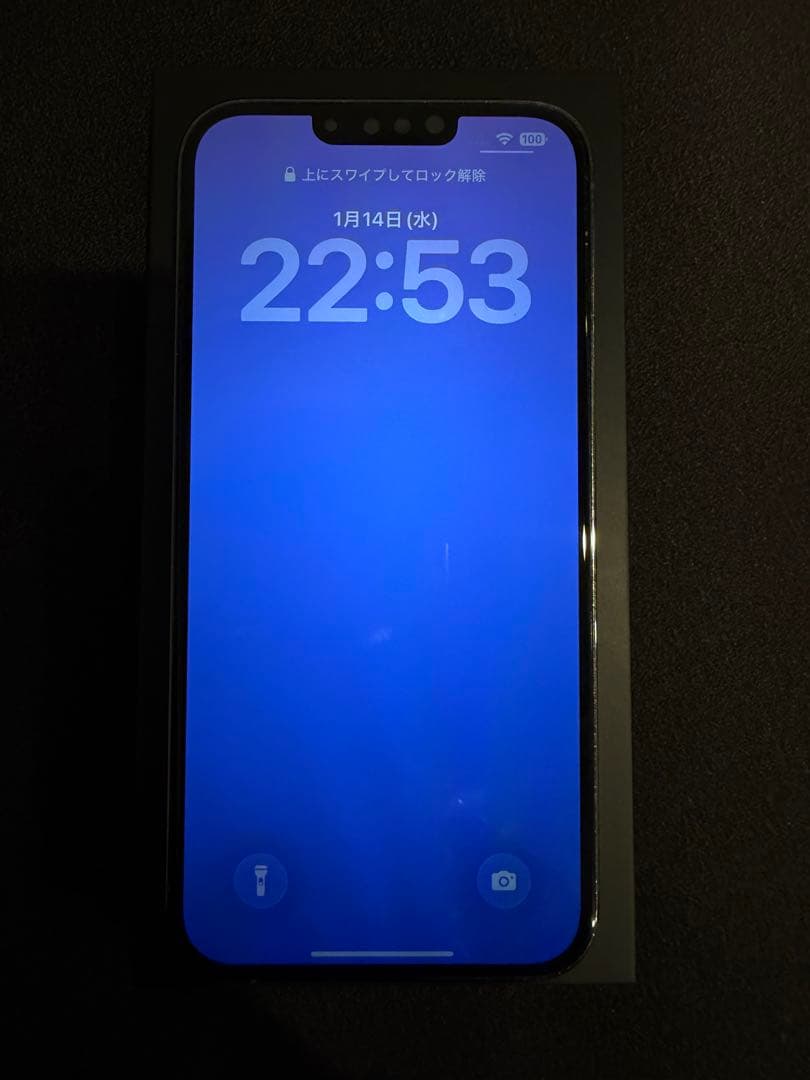 iPhone 13 Pro Max 256GB シエラブルー（SIMフリー）