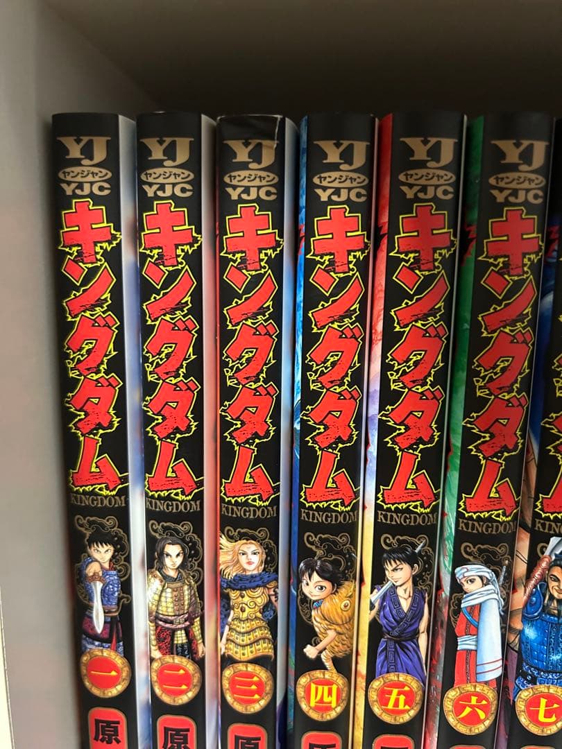キングダム 1巻～67巻＆公式ガイドブック＆入門の書 計69冊セット