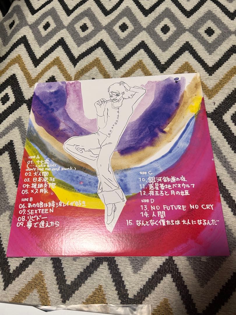 銀杏boyz door 2LP レコード ゴイステ