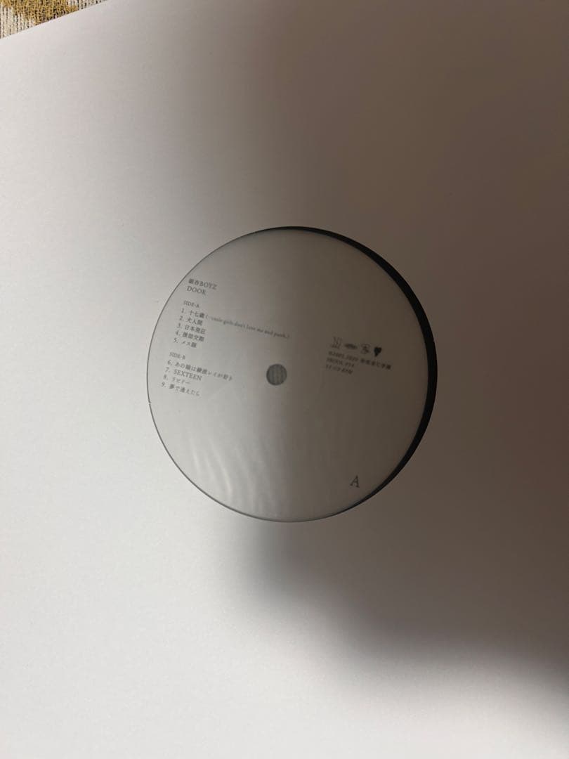 銀杏boyz door 2LP レコード ゴイステ