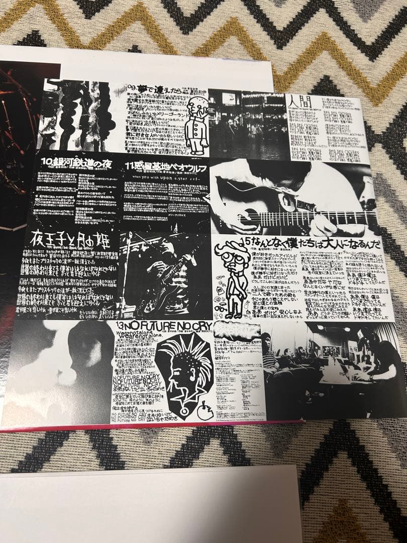 銀杏boyz door 2LP レコード ゴイステ