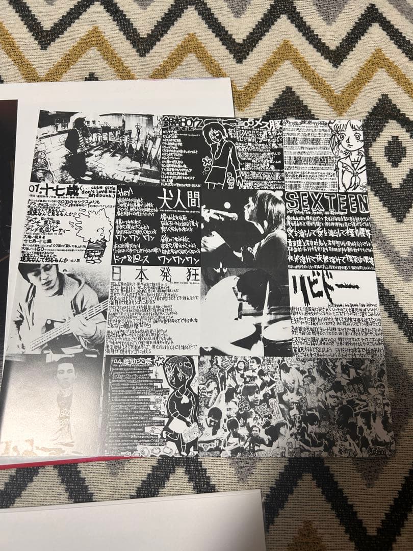 銀杏boyz door 2LP レコード ゴイステ