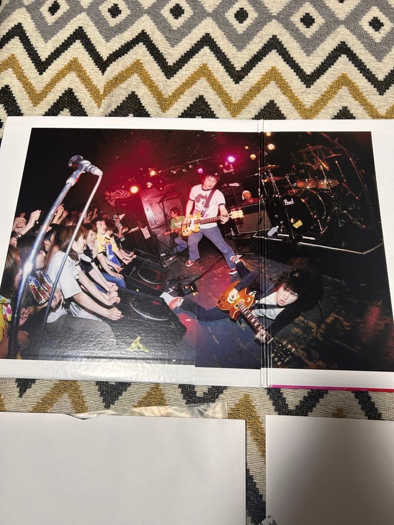 銀杏boyz door 2LP レコード ゴイステ