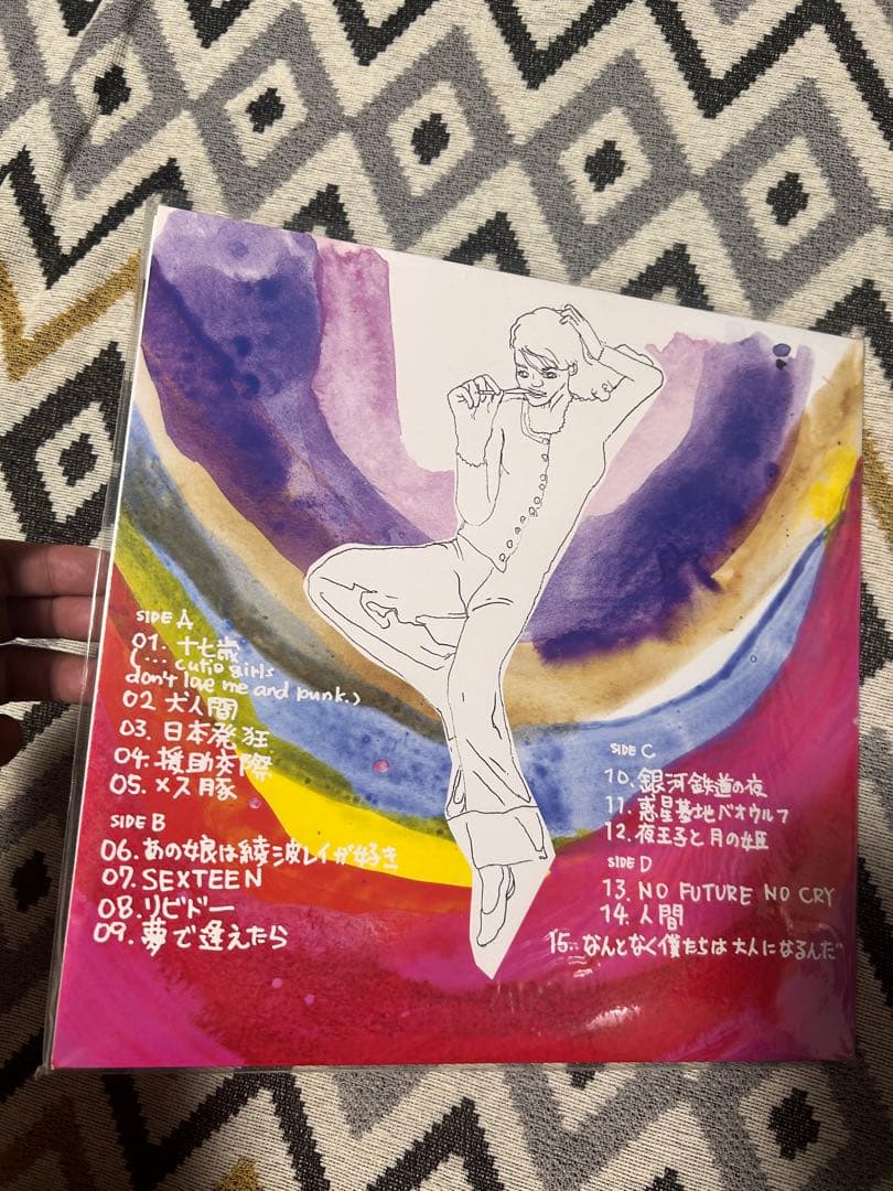 銀杏boyz door 2LP レコード ゴイステ