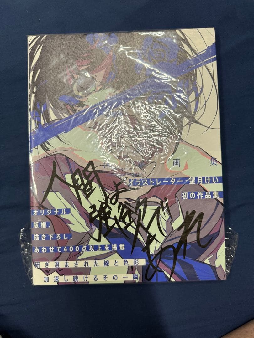 直筆 サイン タイトル 入り 望月けい 初画集 人間よ強欲であれ