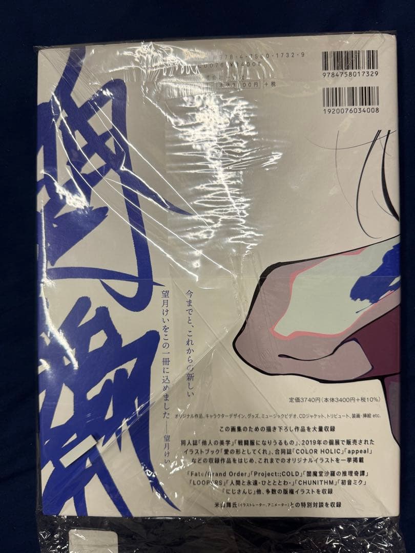 直筆 サイン タイトル 入り 望月けい 初画集 人間よ強欲であれ