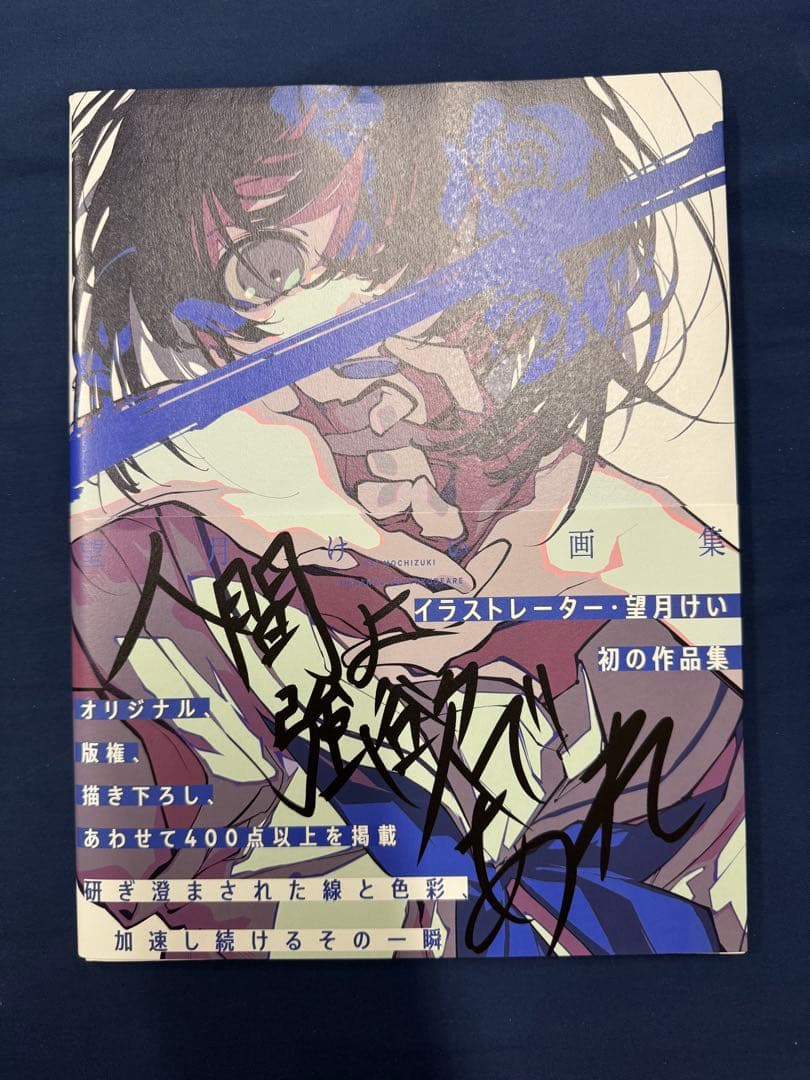 直筆 サイン タイトル 入り 望月けい 初画集 人間よ強欲であれ