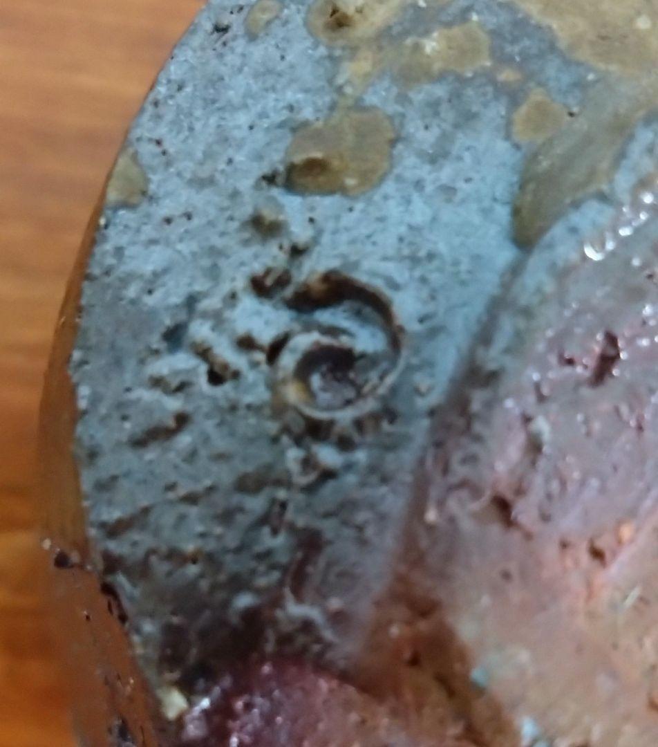 隠崎隆一作 備前焼湯呑み　師伊勢崎淳 人間国宝　備前焼　湯呑