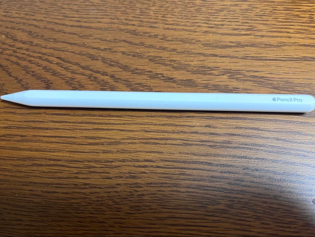 iPad本体 iPad mini7 512 Wi-Fi + Apple pencil Pro