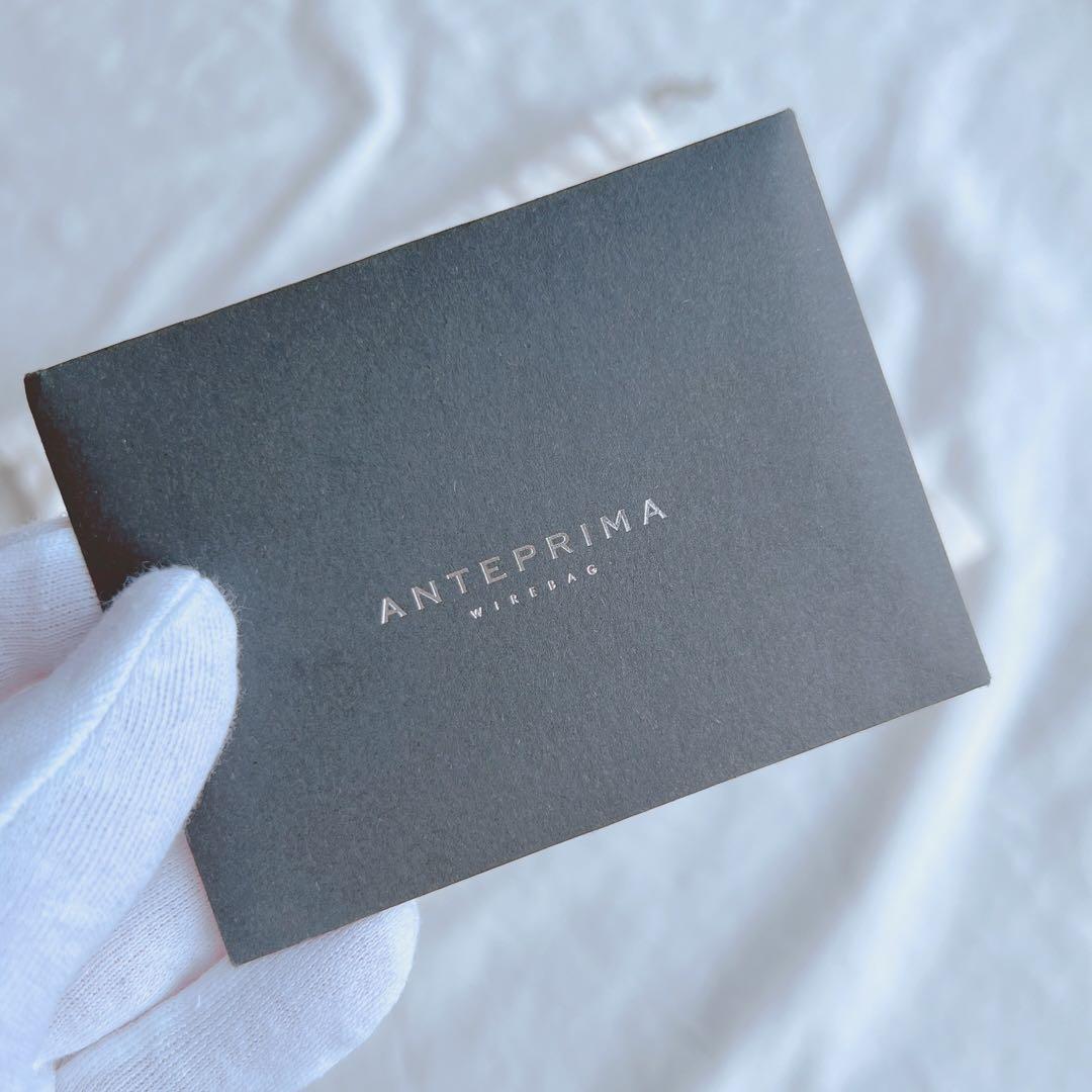 ANTERRIM スタンダード　ミニアトゥーラ　シルバー