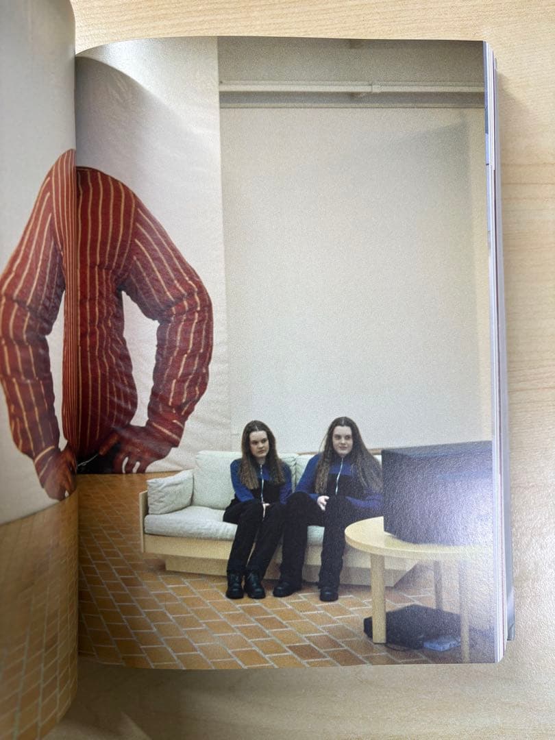 Erwin Wurm エルヴィン・ヴルム