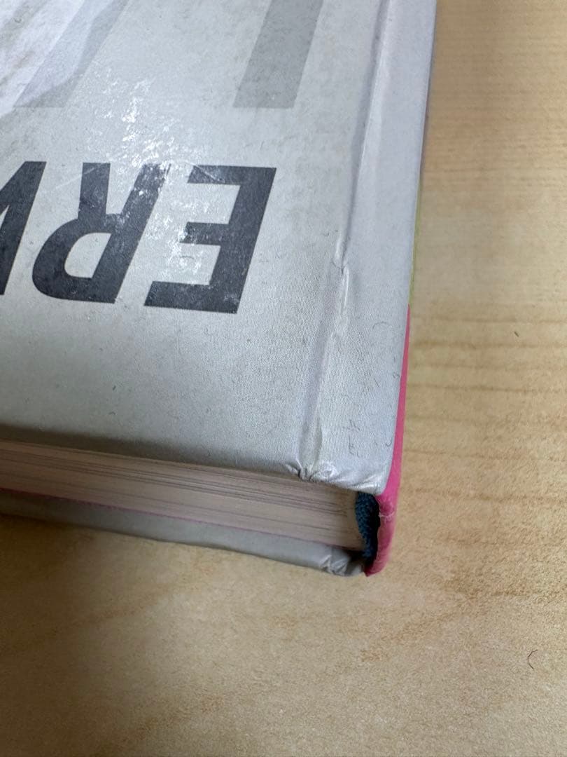 Erwin Wurm エルヴィン・ヴルム