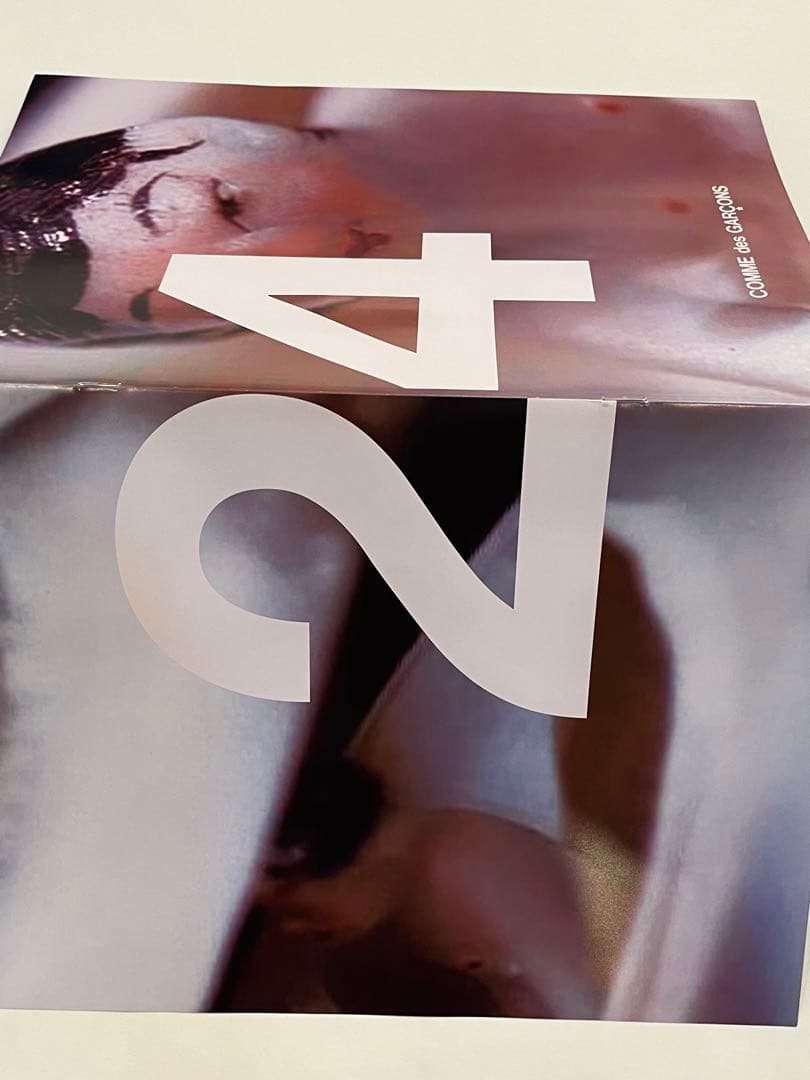 希少　コムデギャルソン　非売品アート冊子　SIX purple ④