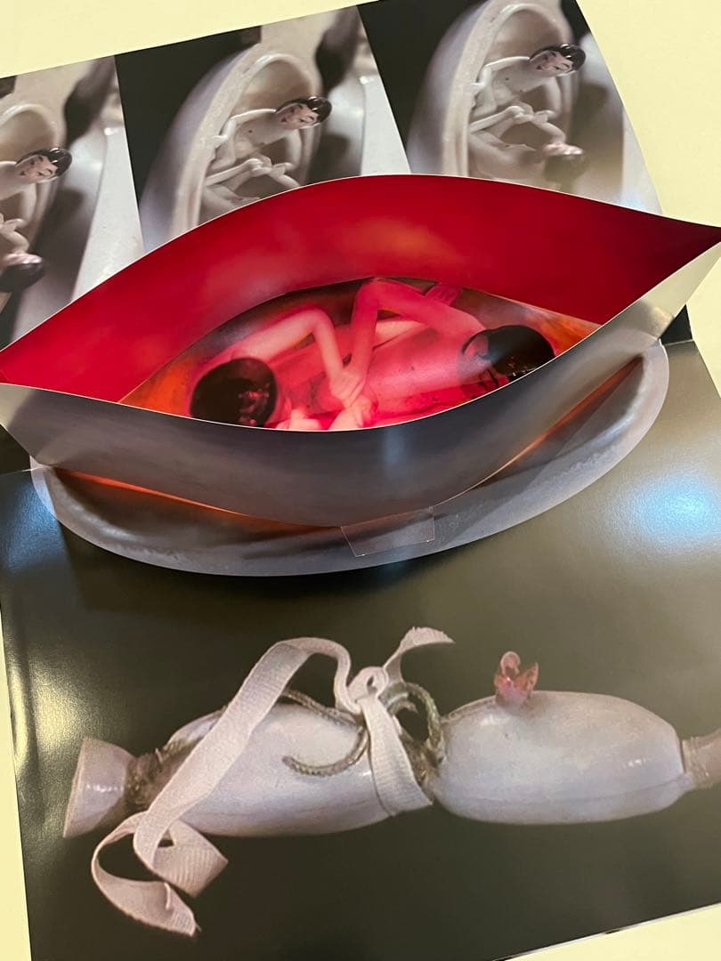 希少　コムデギャルソン　非売品アート冊子　SIX purple ④