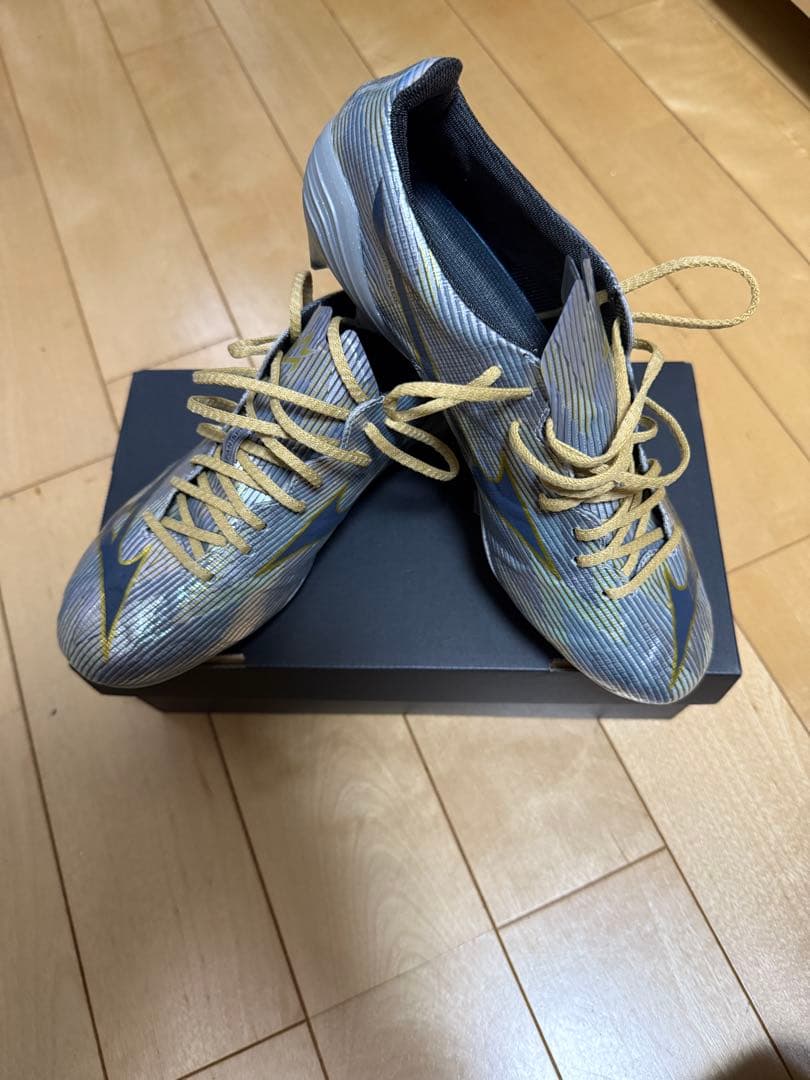 ミズノアルファII JAPAN 24.5