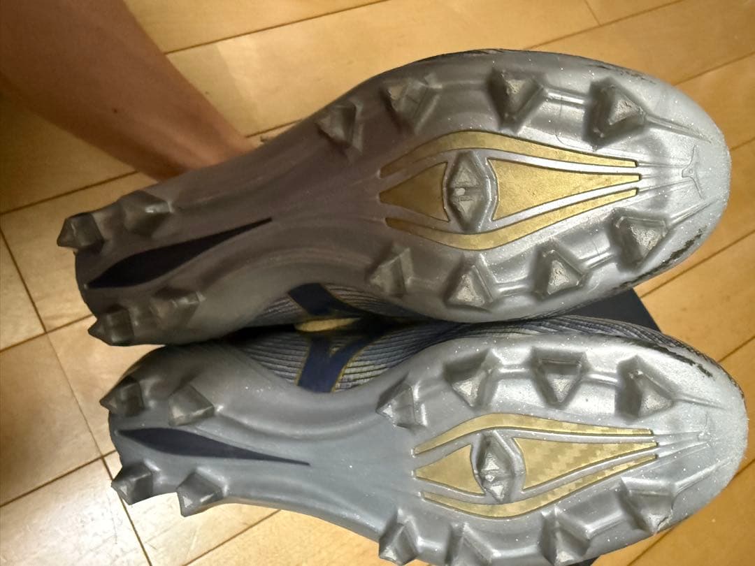 ミズノアルファII JAPAN 24.5