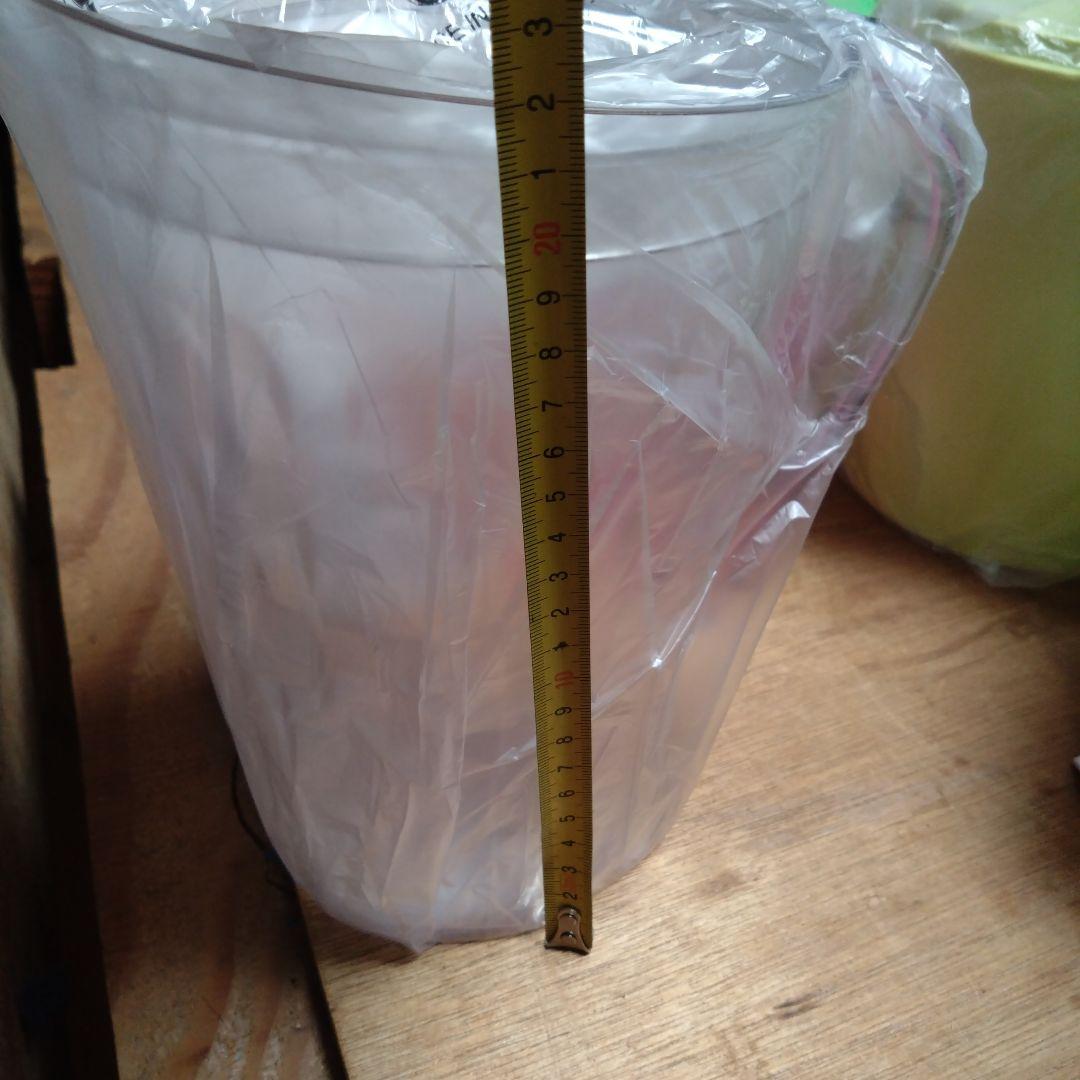 みつばちみっち