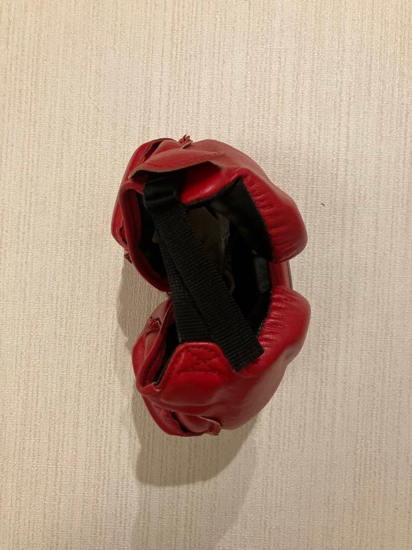 Winning ヘッドギア フルフェイスタイプ レッドL FG-2900