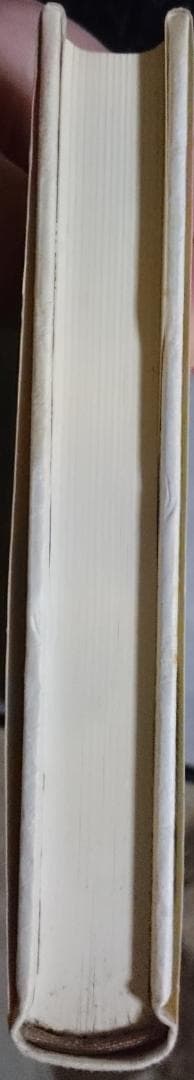 アメリカ未完のプロジェクト　リチャード・ローティ