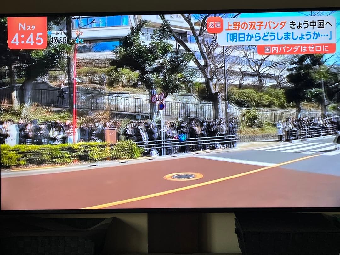 SONY BRAVIA KJ-65X80J 4K テレビ