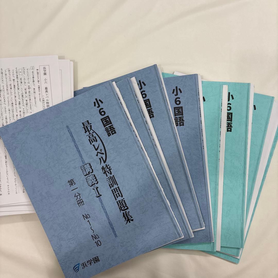 浜学園　小6 最高レベル特訓国語　2024年度　テキスト＋復テ＋パズル集＋外来語
