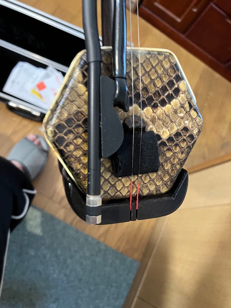 中国二胡　秋生露竹風荷外　敦煌製