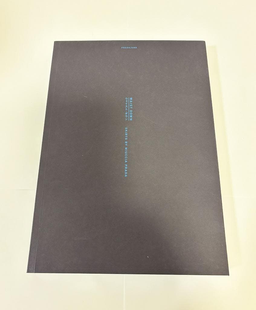 WAIST DOWN：SKIRTS BY MIUCCIA PRADA