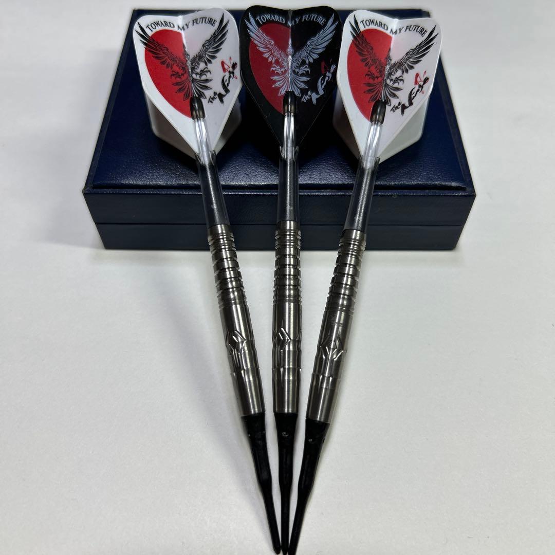 美品！COSMODARTS ROYDEN LAM 3 セッティングセット！
