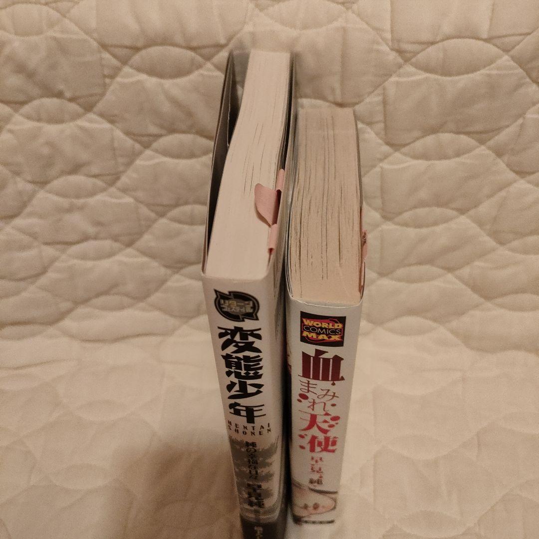 早見純 サイン本2冊 匿名配送