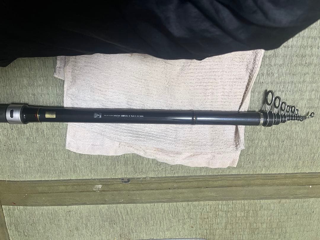 ダイワ リーガル 4-53遠投