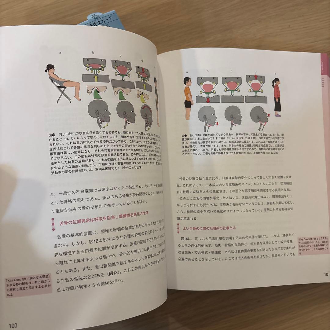 舌骨から紐解く顎機能の謎　丸茂義二のファイナルアンサー