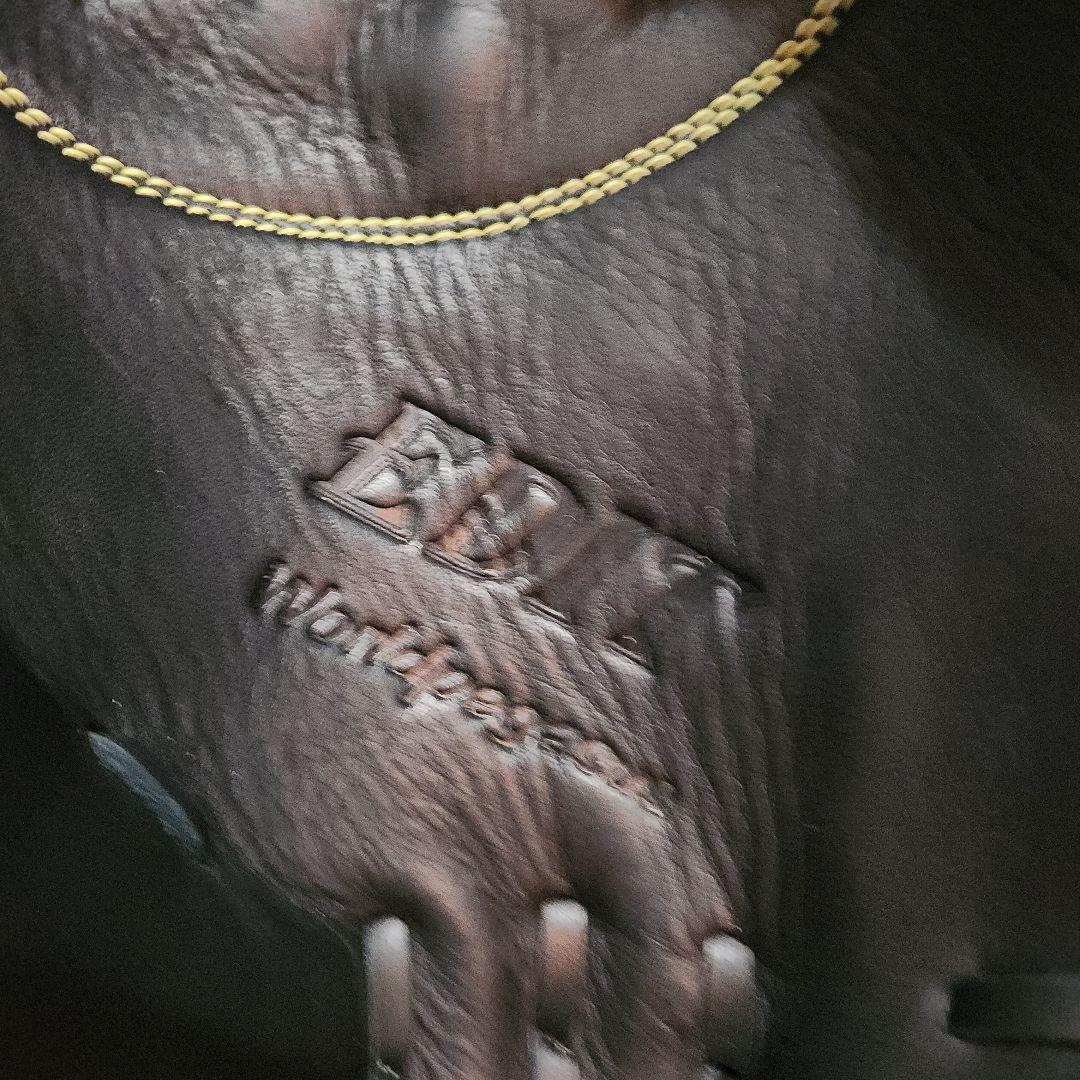 ワールドペガサス キャッチャーミット