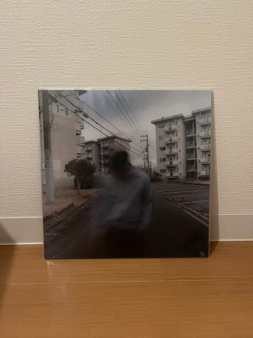 邦楽 Age Factory Sono nanika in my daze LP