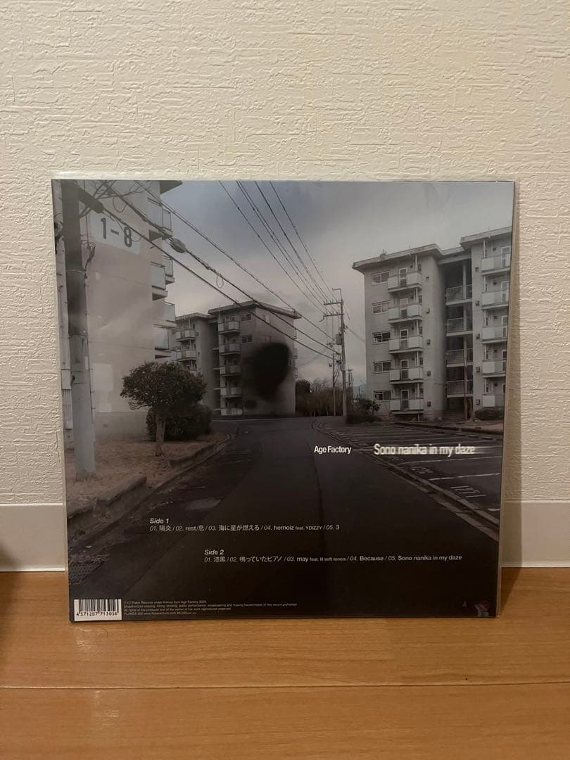 邦楽 Age Factory Sono nanika in my daze LP